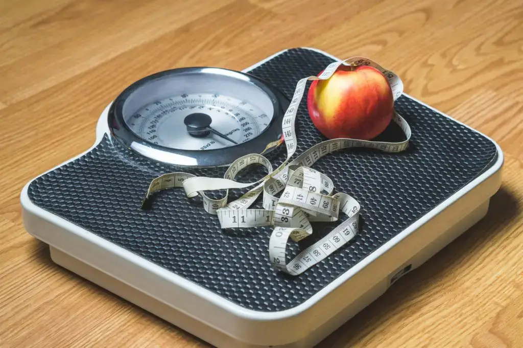 ¿Cuál es el mejor plan de dieta para un chico de 15 años? Consejos de un nutricionista ¿Cuál es el mejor plan de dieta para un chico de 15 años? Consejos de un nutricionista