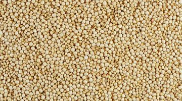 ¿Qué tipos de cereales contienen mucho hierro? ¿Qué tipos de cereales contienen mucho hierro?