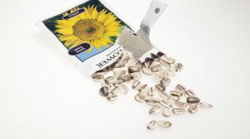 ¿Qué tipos de cereales contienen mucho hierro? ¿Qué tipos de cereales contienen mucho hierro?