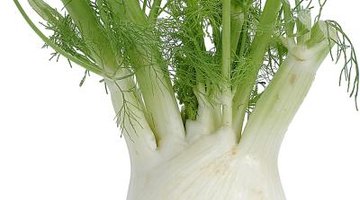 Verduras que parecen apio Verduras que parecen apio