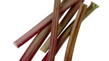 Verduras que parecen apio Verduras que parecen apio