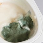 ¿Es peligroso comer yogur con moho?