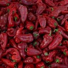 Cómo sustituir el pimentón dulce ahumado Cómo sustituir el pimentón dulce ahumado