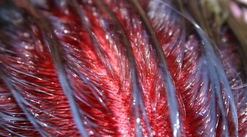 Instrucciones de color táctil de Wella | eHow Reino Unido Instrucciones de color táctil de Wella | eHow Reino Unido