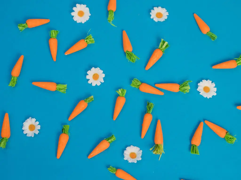 ¿Cuántas zanahorias puedo comer al día?