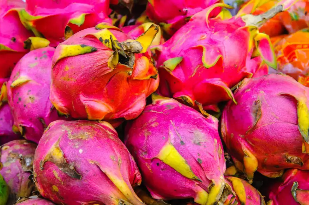 ¿Deberían los adolescentes comer fruta? ¿Deberían los adolescentes comer fruta?