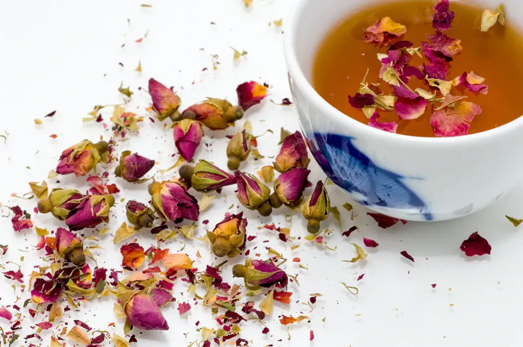 ¿Pueden los adolescentes beber té? Pregúntale a un nutricionista ¿Pueden los adolescentes beber té? Pregúntale a un nutricionista